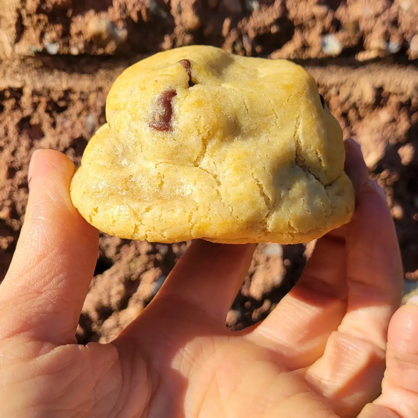 My Big Fat Cookie - Wholesale Cookie - Little Fatties - Gluten "Friendly*" Chocolate Chip - 2 Pack1