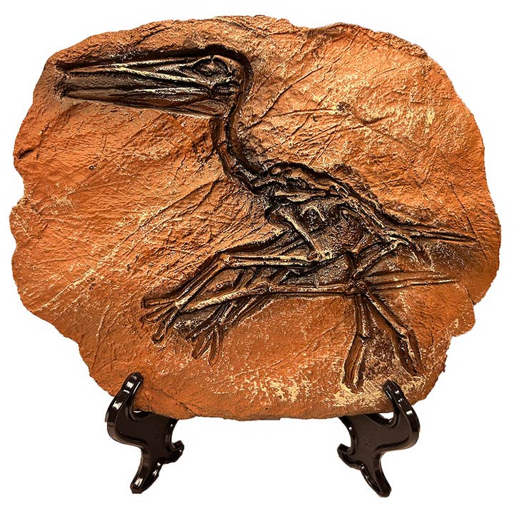 Texas Toy Distribution - Wholesale Decorative Figurine - Dinosaur Prehistoric Skeleton Plaque w/ Holder, 4 Dinosaurs