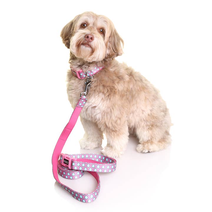 DOOG & Outback Tails & Country Tails - Wholesale Pet Collar - Dog - Neoprene Dog Collar - LUNA