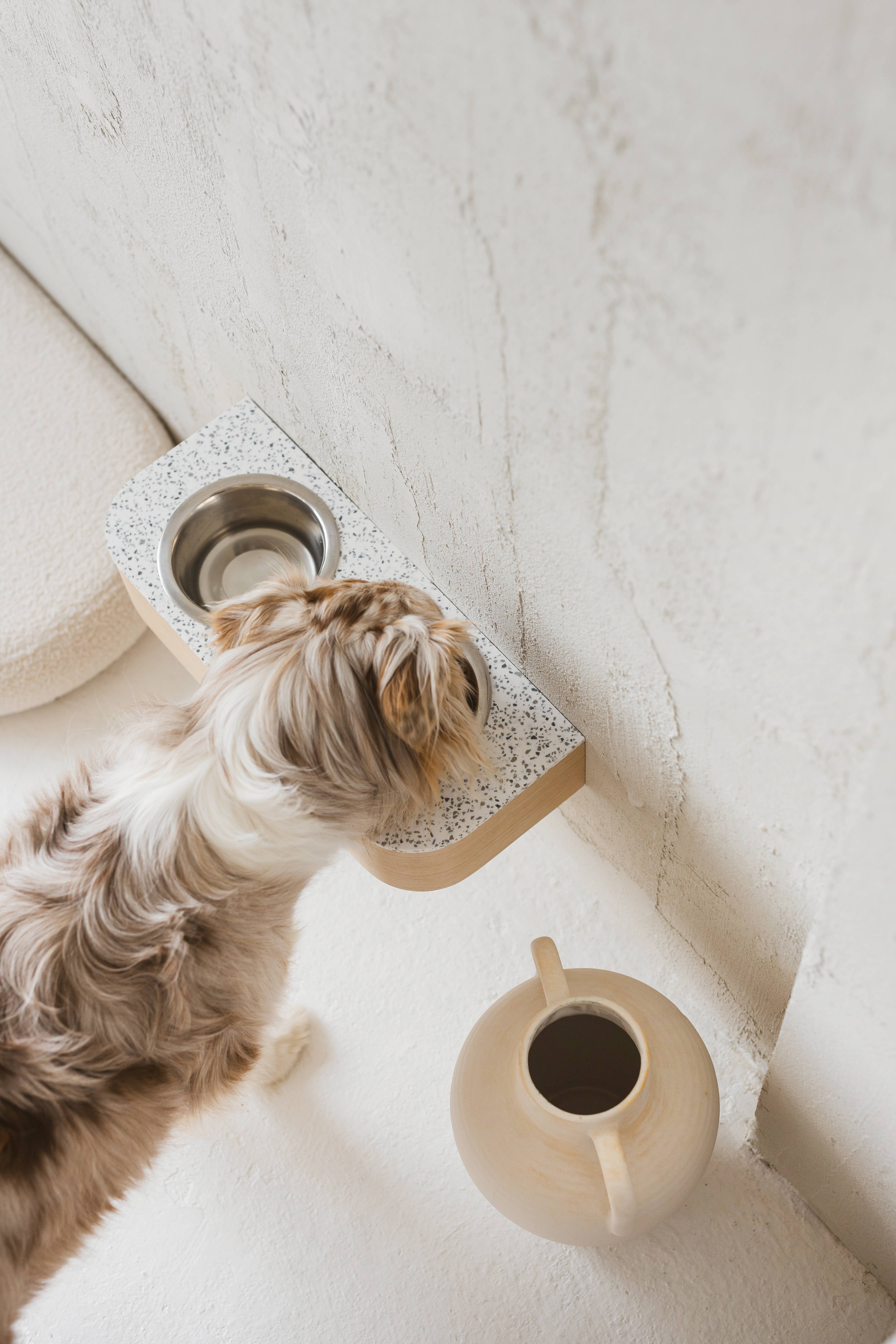 ValiaiDesign - Vendita all'ingrosso Ciotola - Cani e gatti - Mangiatore impermeabile per cani con supporto a parete in pietra solida e ciotole in acciaio inox6