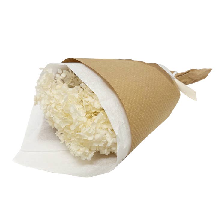Andaluca - Wholesale Dried/Pressed Flowers - Ivory Preserved Hydrangea #157