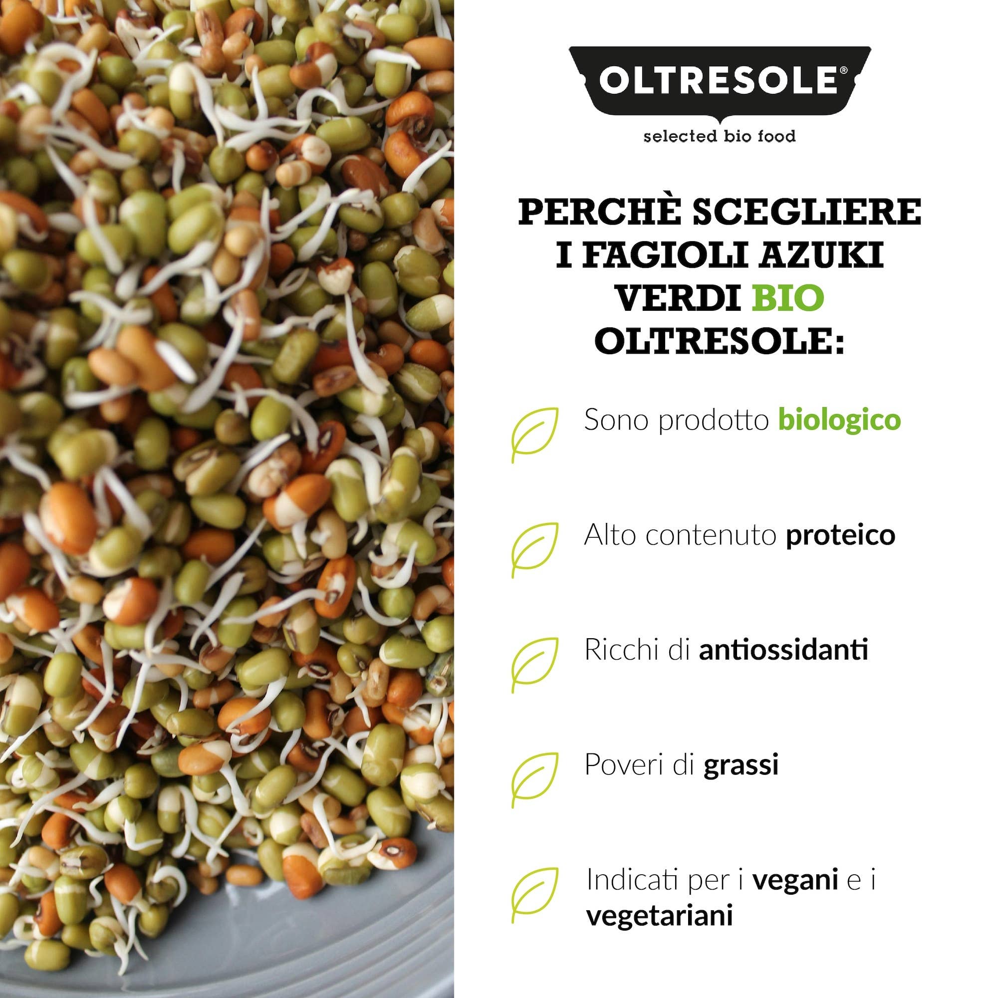 Oltresole – wholesale Beans – ORGANIC GREEN AZUKI BEANS 1 Kg5