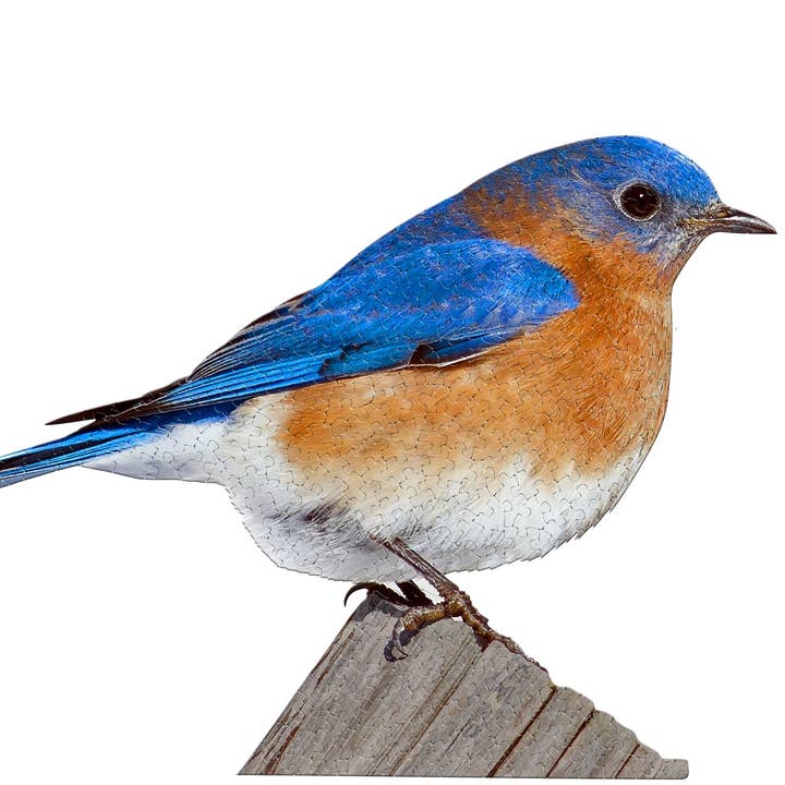 Madd Capp Games & Puzzles - Wholesale Puzzle - Adult - I AM Bluebird 300 piece jigsaw puzzle - gift5