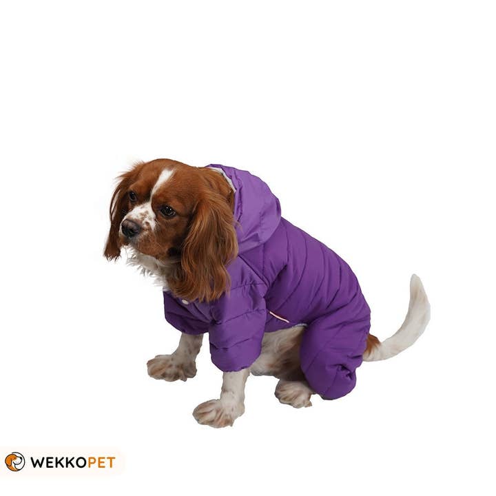 (CONJUNTO DE 5) Casaco de Cão de Alta Qualidade -Macacão Desportivo Roxo - Oferta Perfeita para Amante de Cão - WEKKOPET por atacado de WEKKOPET