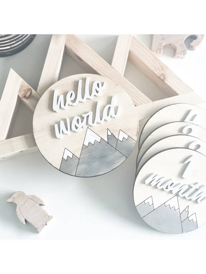 Mountain Monthly Milestones Discs for wholesale by Novawood Co.