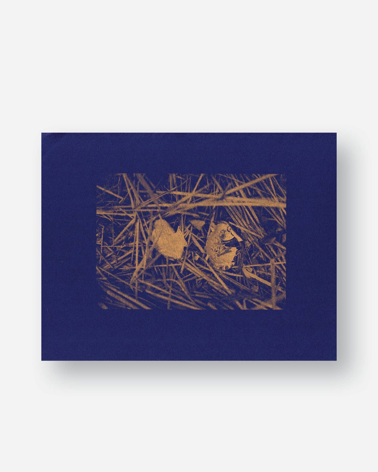 Matiz Press - Wholesale Art Print - Landscape - Riso Print1