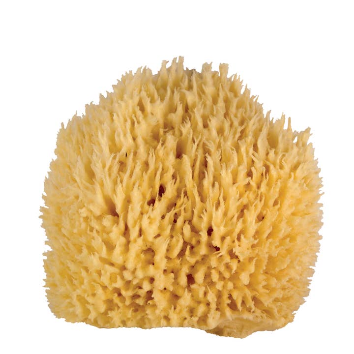 Jade & Pearl - Wholesale Bath pouf/sponge - WHOA DADDY! Ultra-Soft & Luxurious Bath Sponge- large1