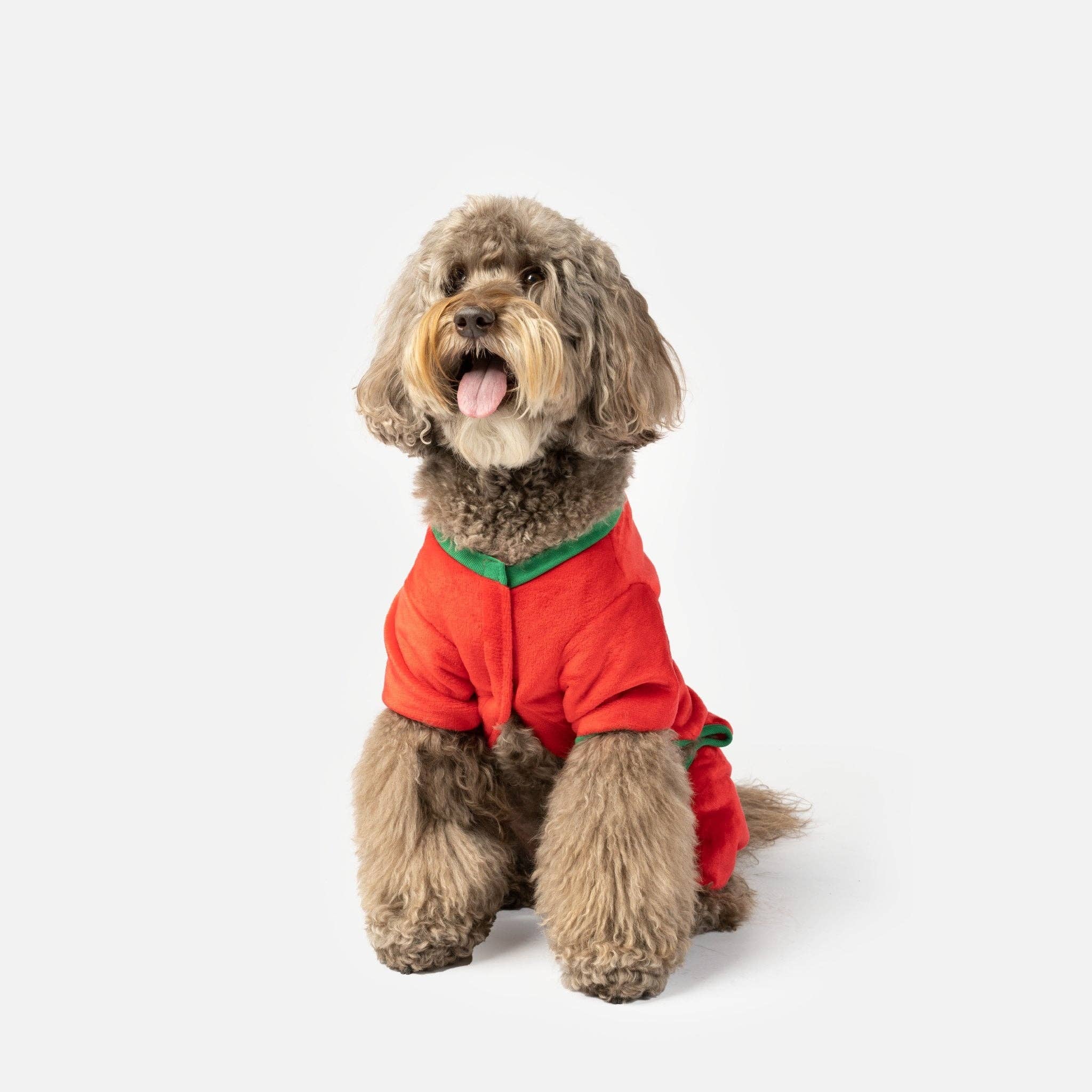 Silver Paw - Wholesale Pet Pajamas - Dog - Sleepy Dog Pjs3