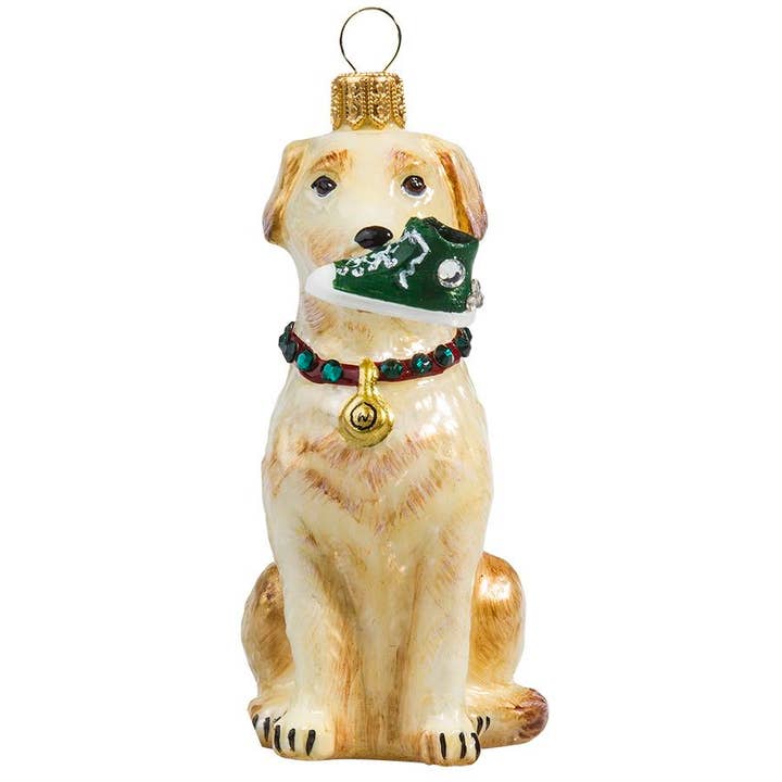 Lab jaune avec baskets hautes pour la vente par Joy To The World Collectibles