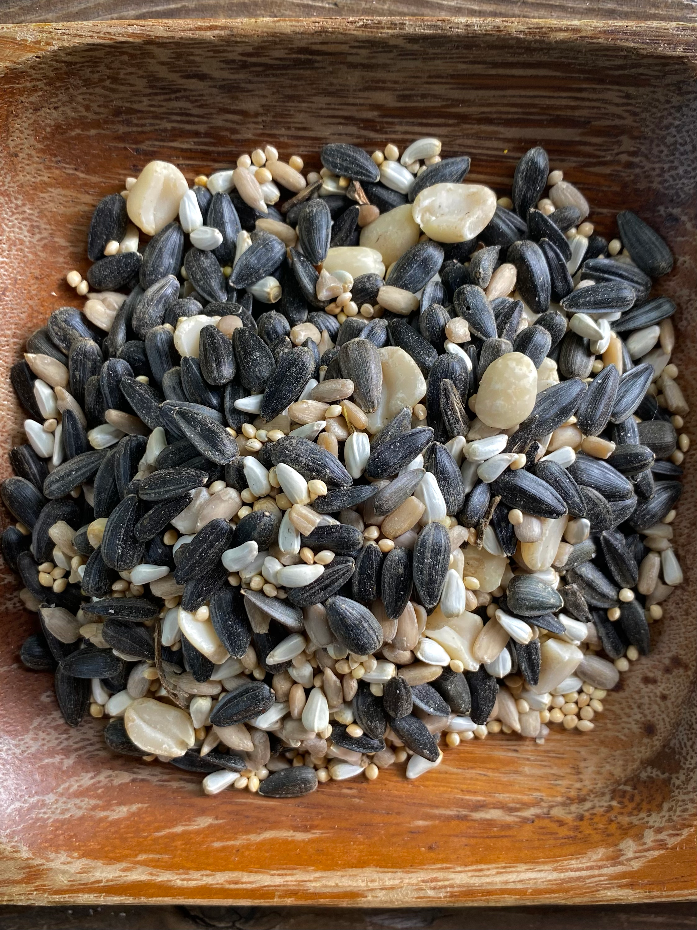 The Native Bird - Wholesale Bird Feeder - Song Bird Blend 2LB - Bird Seed1