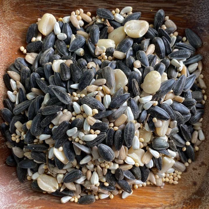 The Native Bird - Wholesale Bird Feeder - Song Bird Blend 2LB - Bird Seed1