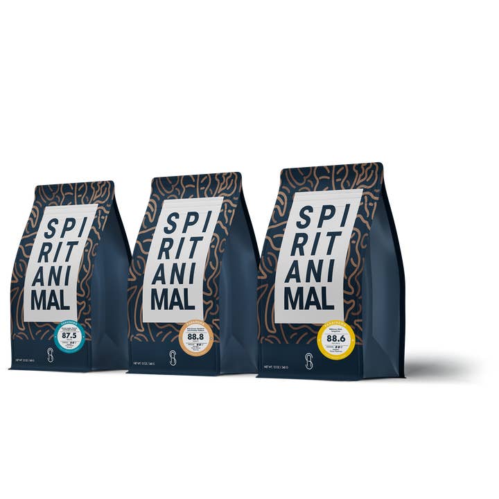Award Winner COE#8, 88.8 & 87.5 Profiles - Parainema Coffee for wholesale by Spirit Animal Coffee