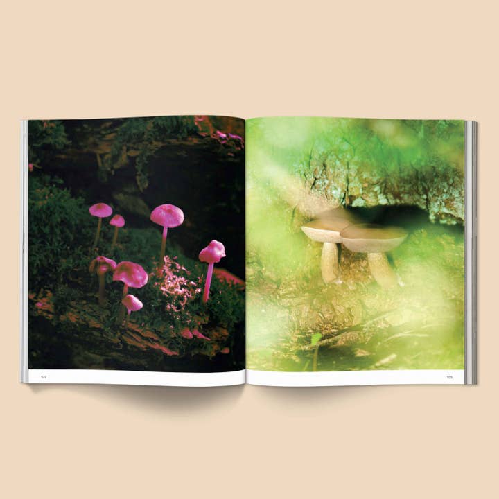 Broccoli – wholesale Book – Adult – Spores: Magical Mushroom Photography Book