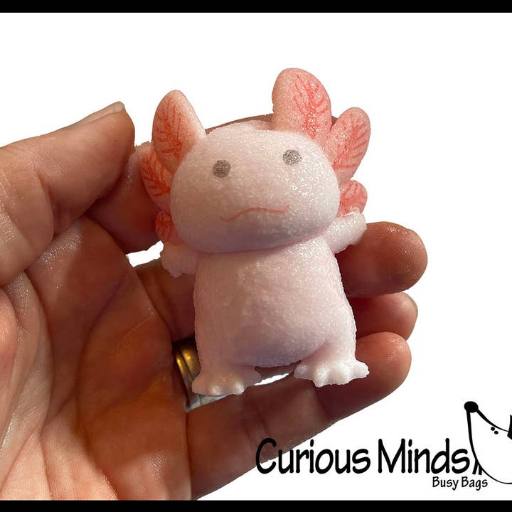 Curious Minds Toys – wholesale Toy set – Kids – 1 Hatch and Grow an Axolotl Egg in Water - Add Water and it7