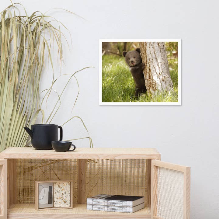 Pipa Wall Art & Home Decor - Wholesale Art Print - Cute Baby Grizzly Bear Cub Behind Tree In Meadow Framed Art17