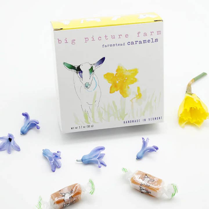 Big Picture Farm - Wholesale Caramel - Daffodil Goat Milk Caramel Box (Spring!)