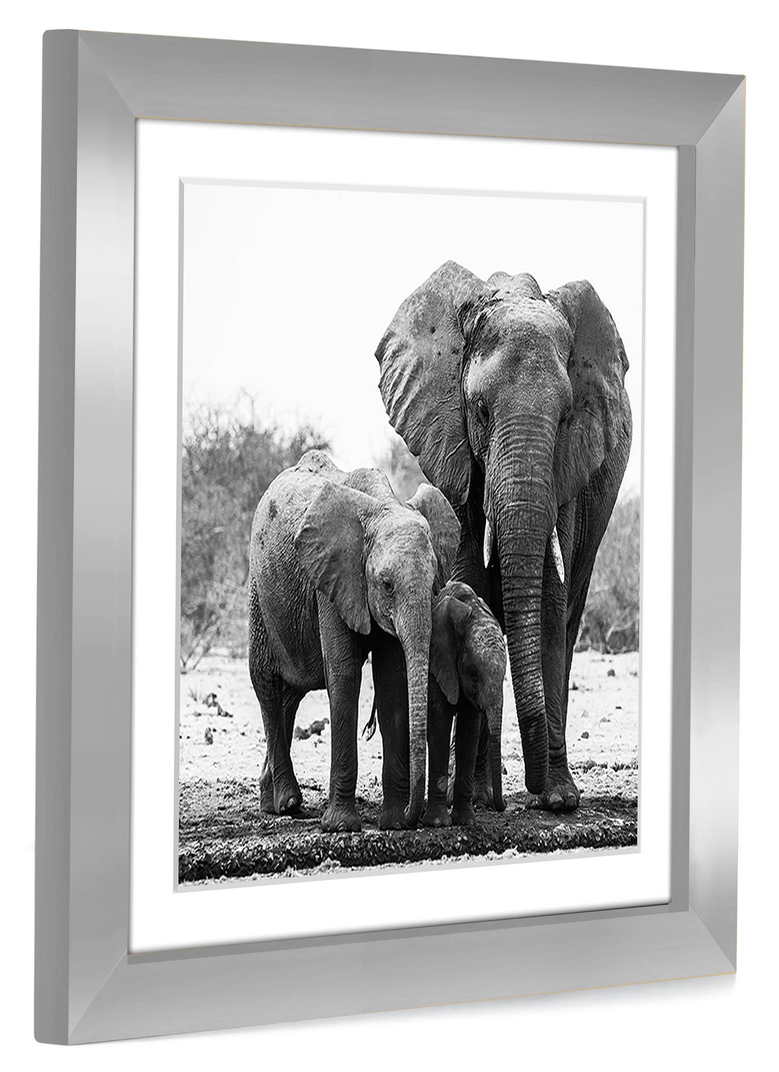Americanflat - Wholesale Picture Frame - Americanflat Picture Frame with Mat Standard Molding60
