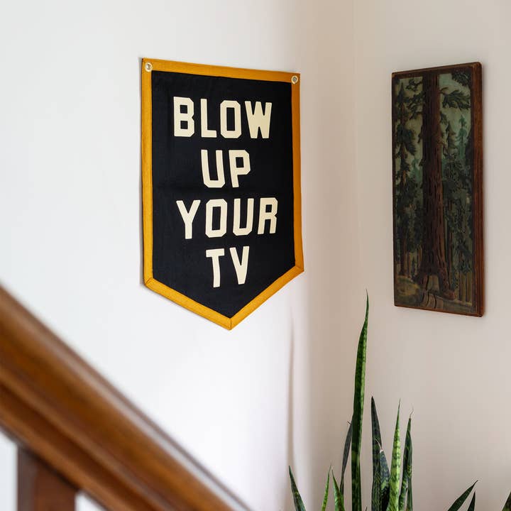 Oxford Pennant - Wholesale Flag - Blow Up Your TV Camp Flag • John Prine x Oxford Pennant1