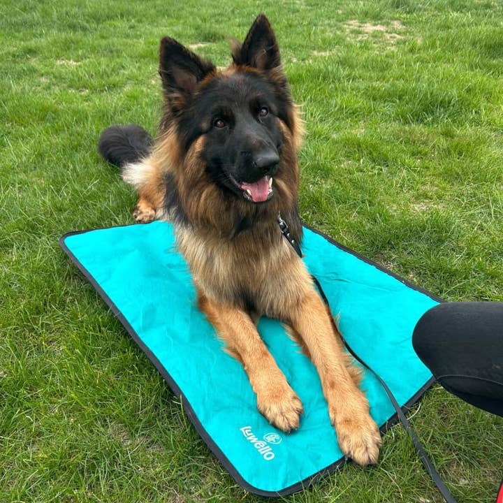 LUWELLO, LLC - Wholesale Pet Bed - Dog - Portable Dog Settle Mat20