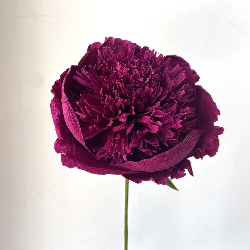 Papercraft Miracles LLC - Vente Fleurs artificielles - Fleur de pivoine charme en papier crépon (petite)7