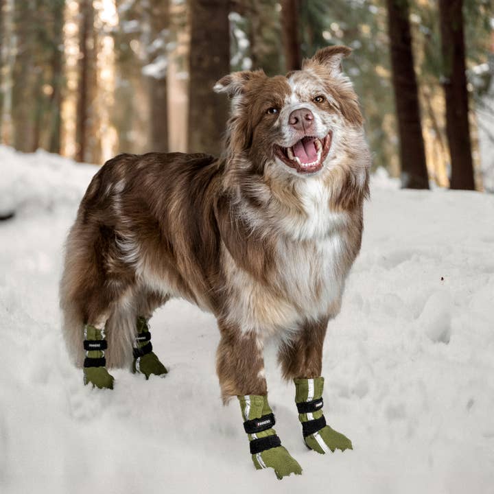 FINNERO - Wholesale Pet Boots - Dog - FINNERO HALLA REFLECTIVE Booties For Dogs 4pcs/pac, 3 Colors9