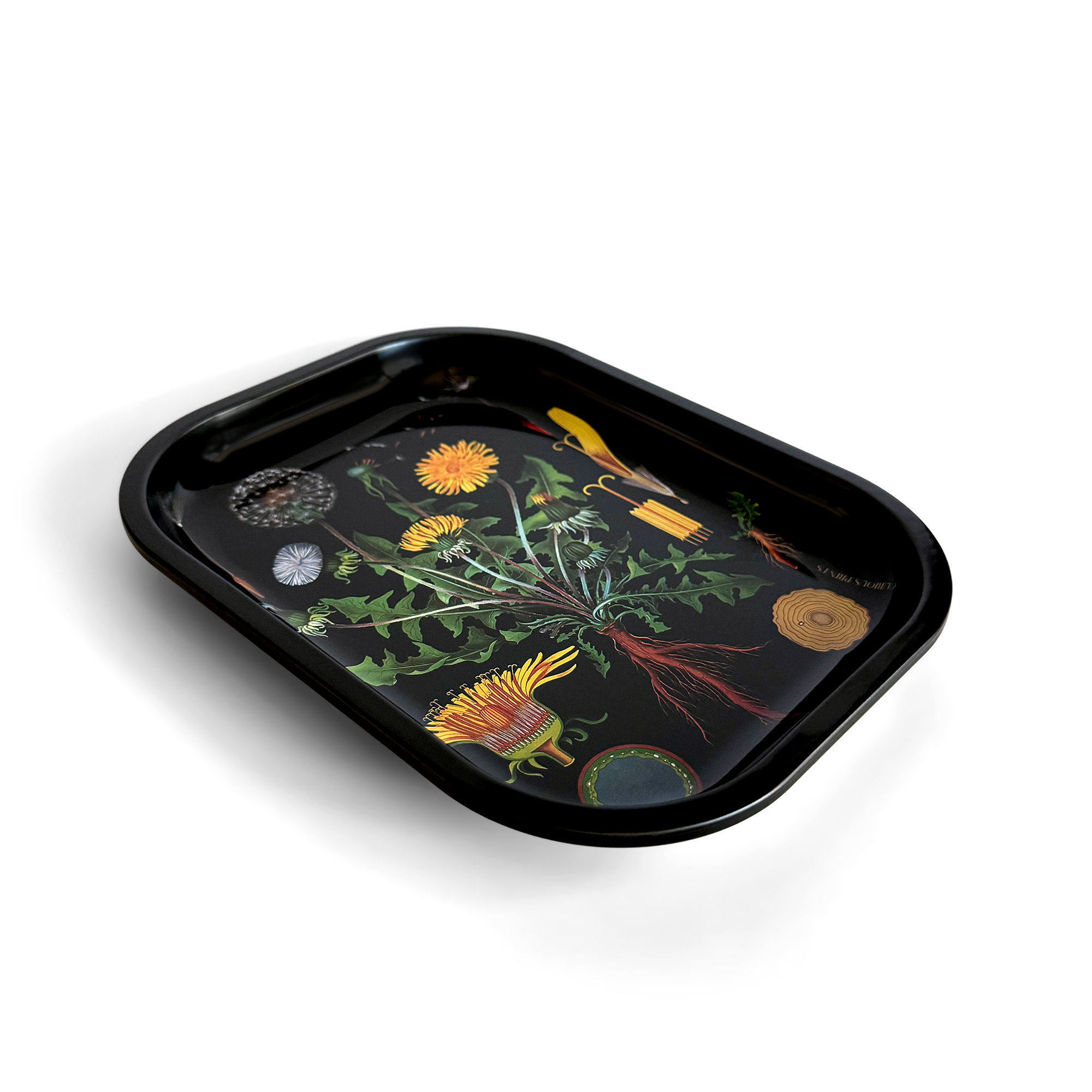 Curious Prints - Wholesale Decorative Tray - Small Metal Botanical Dandelion Trinket Tray1