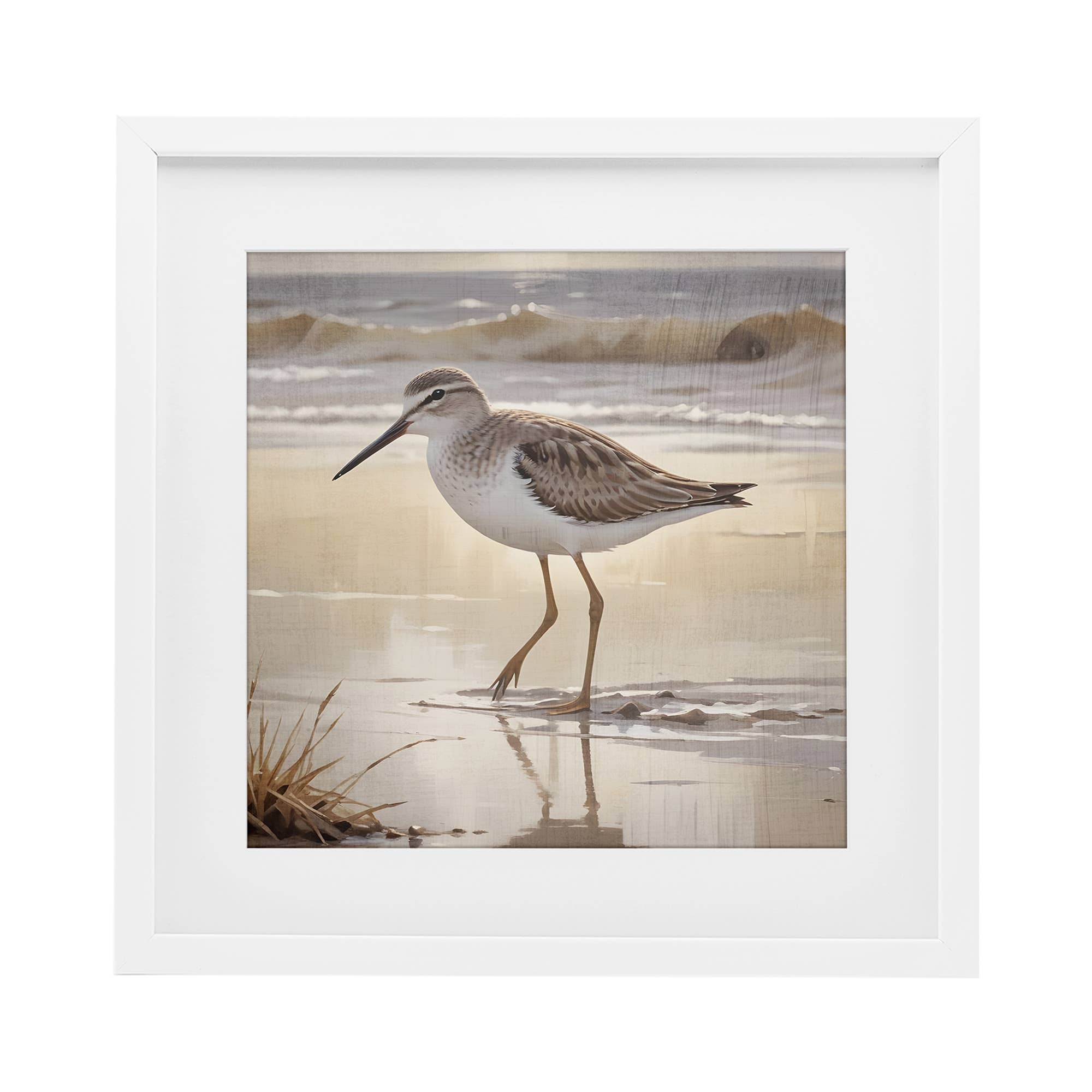 Stupell Industries - Wholesale Wall Sign - Wading Beach Sandpiper - Print Under Glass Wall Art12