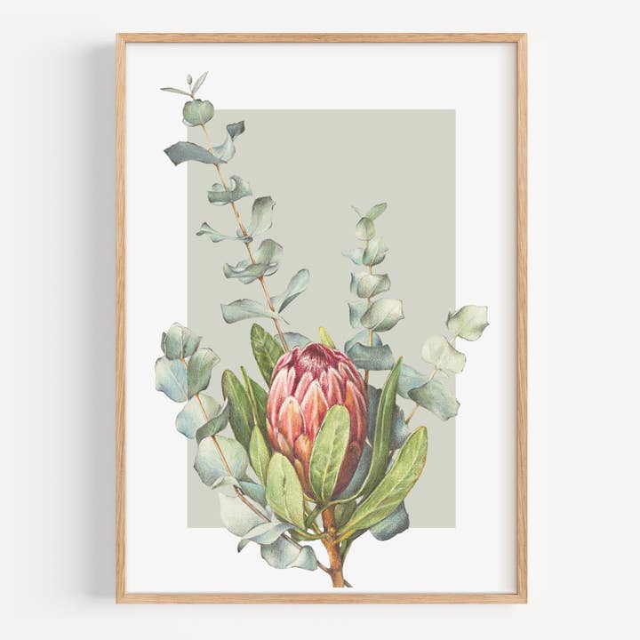Protea/Eucalipto verde - Impresión de Bellas Artes para venta al por mayor de Hayley Wilson