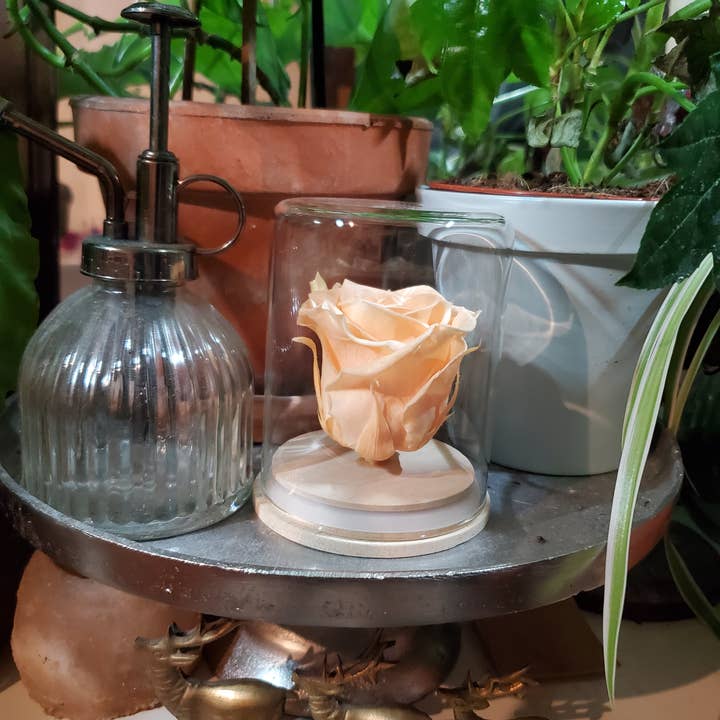 A'Rt VEGETAL CREATION - Wholesale Artificial Flowers - Eternal rose under bell6