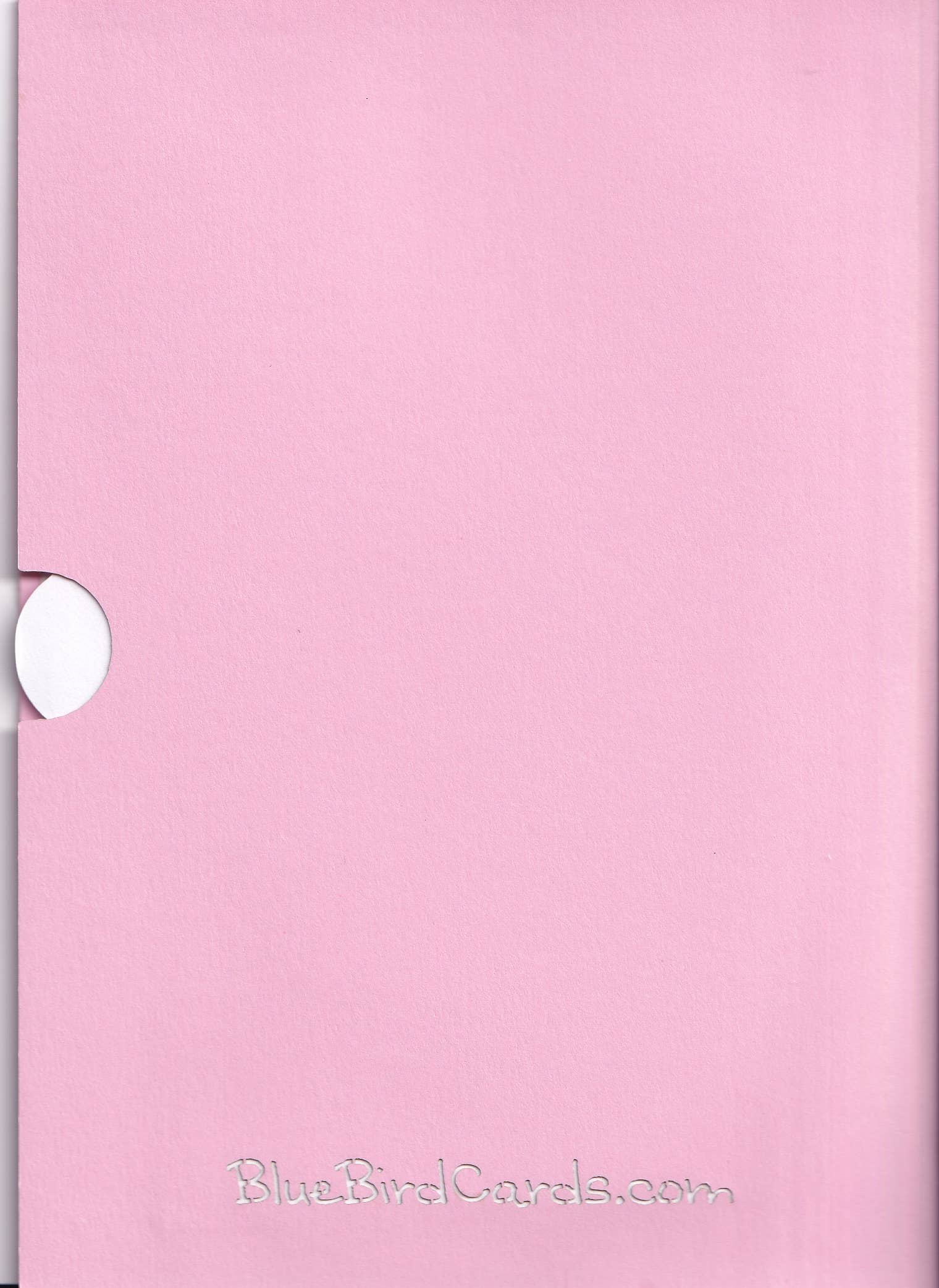 Blue Bird Cards - Wholesale Everyday Greeting Card - Floral Vase Pop-Up Card8