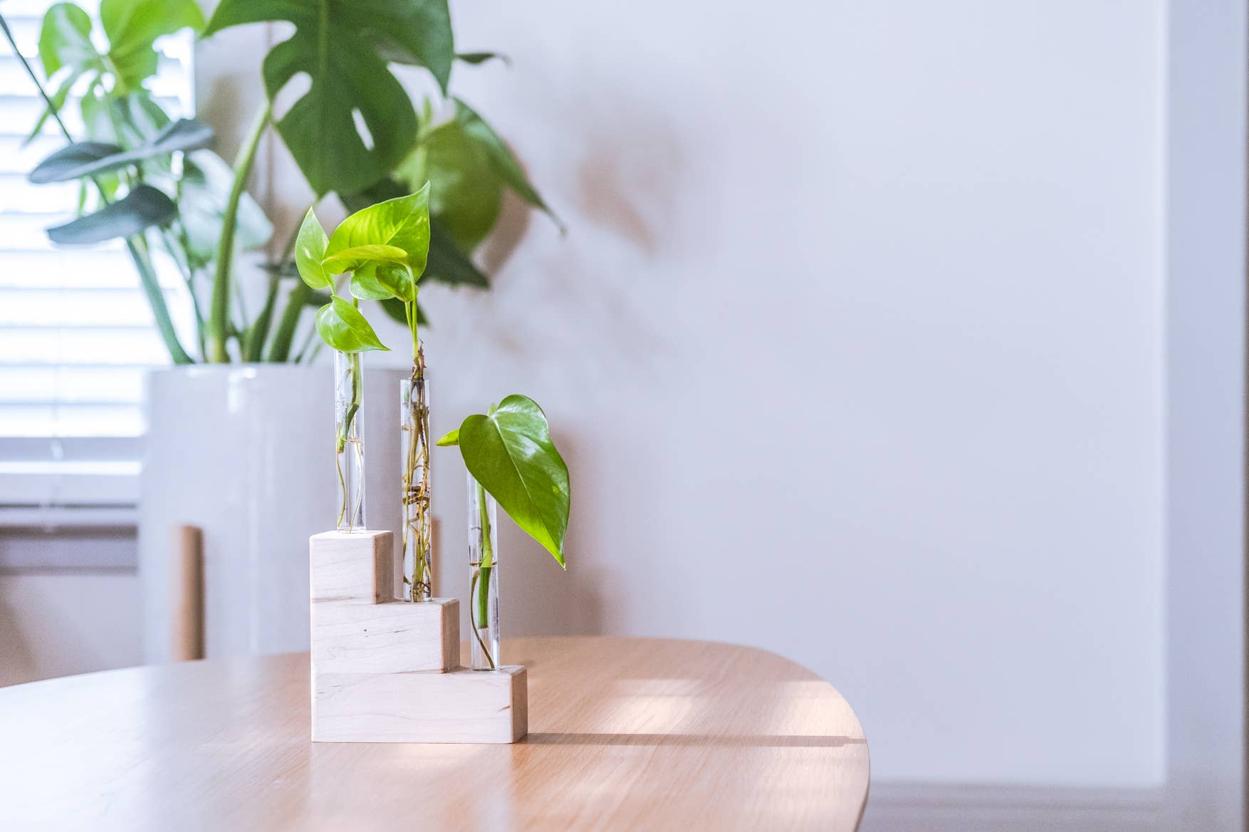 Hold on to Your Plants - Wholesale Plant Pot Stand - Riser Propagation Station4