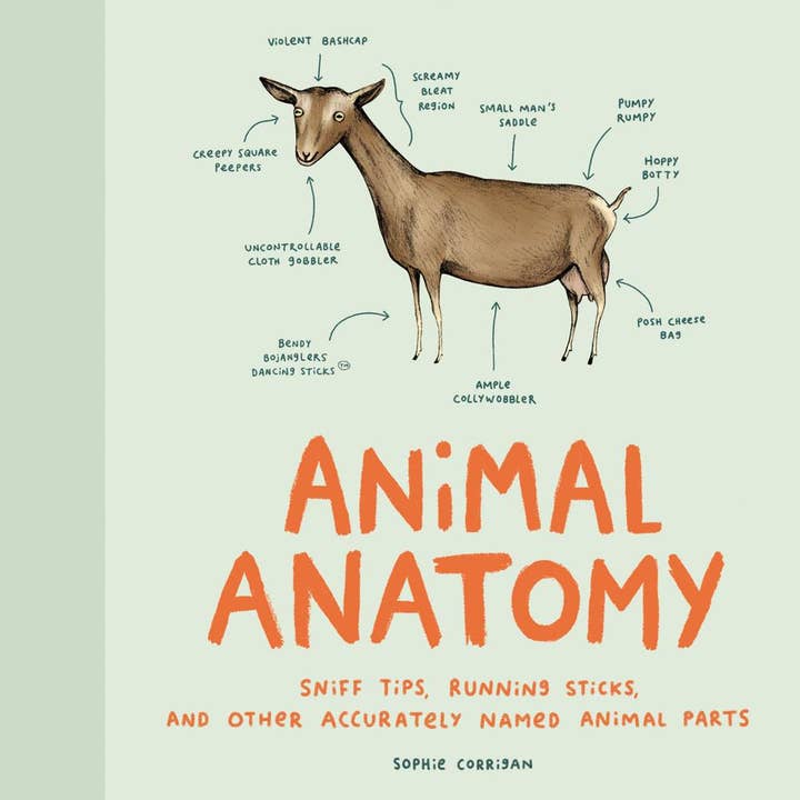 Chronicle Books - Wholesale Book - Adult - Animal Anatomy
