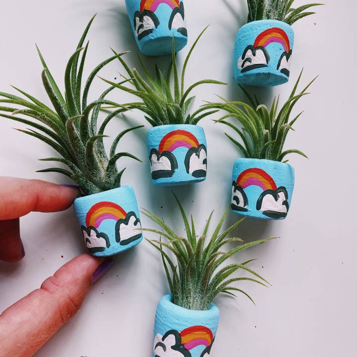 O'Berry's Succulents - Wholesale Plant Pot - Magic Rainbow Mini Planter1