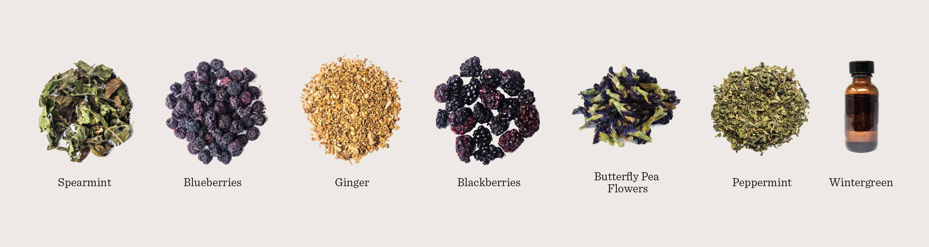 Piper & Leaf Artisan Tea Co - Wholesale Loose Tea - Piper Mint Blues Pound Bag3