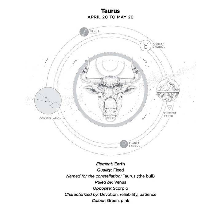 Texas Bookman - Wholesale Philosophy Book - Taurus Oracle: Instant Answers from Your Cosmic Self1
