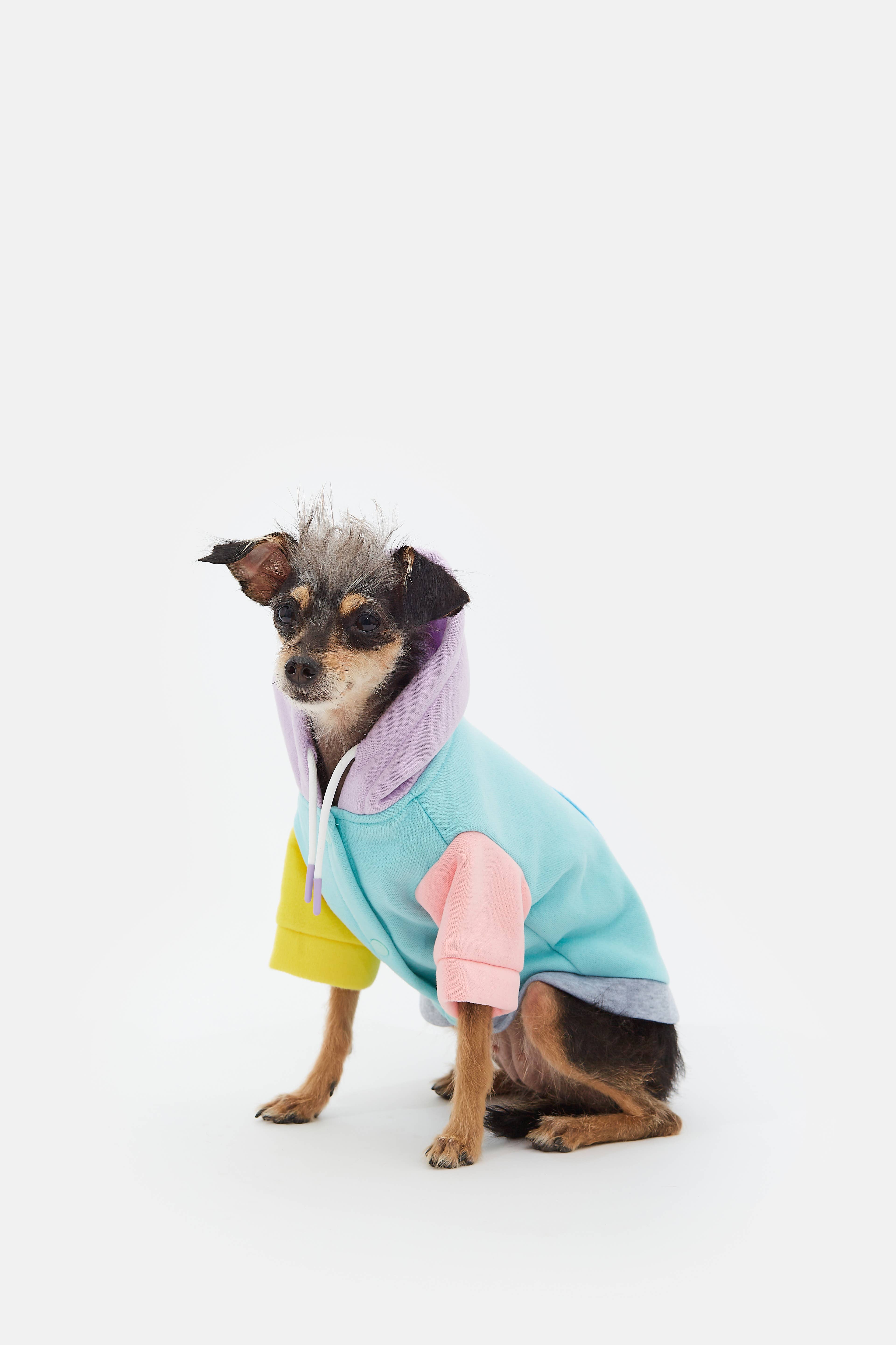 ARISTOPET - Wholesale Pet Hoodie - Dog - AUGUSTO AQUA HOODIE SWEATSHIRT8