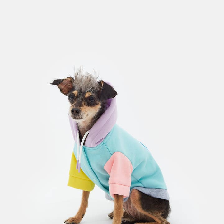 ARISTOPET - Wholesale Pet Hoodie - Dog - AUGUSTO AQUA HOODIE SWEATSHIRT8