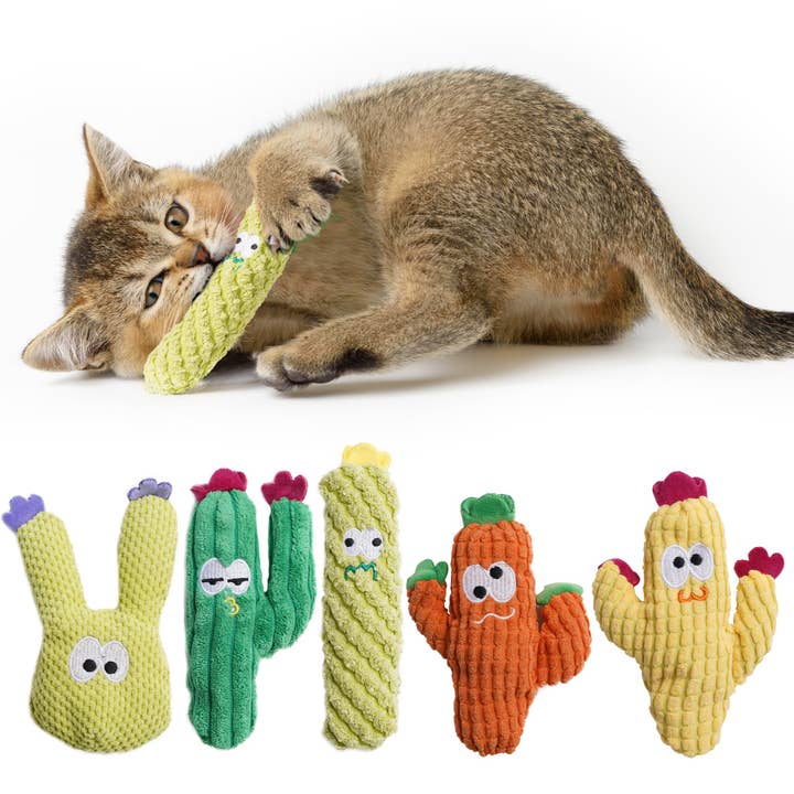 5 Pack Cactus Catnip Toys for wholesale by Nocciola
