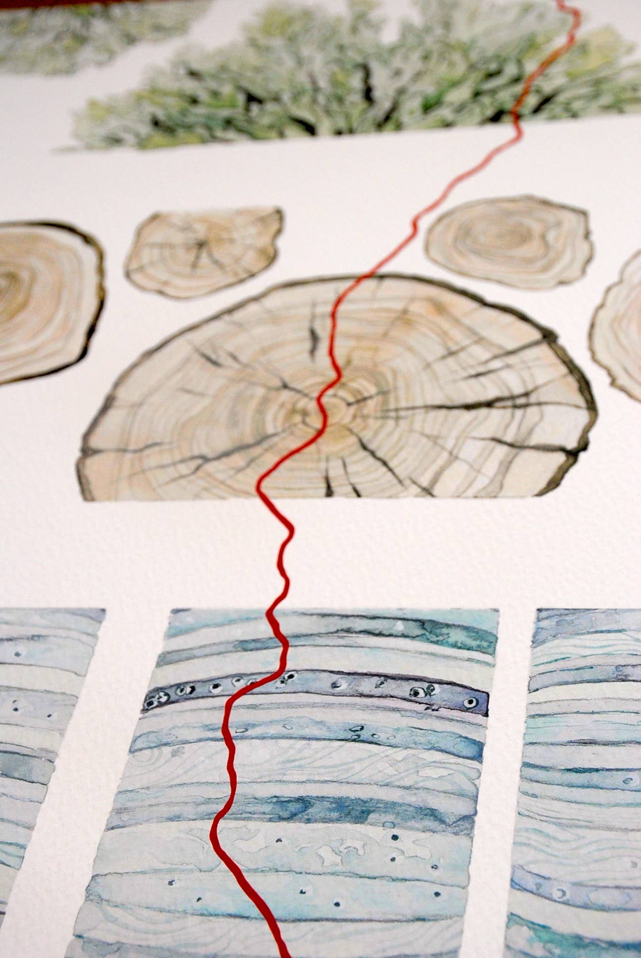Jill Pelto Art - Wholesale Art Print - Ice Core, Tree Rings, and Lichen Art Print4