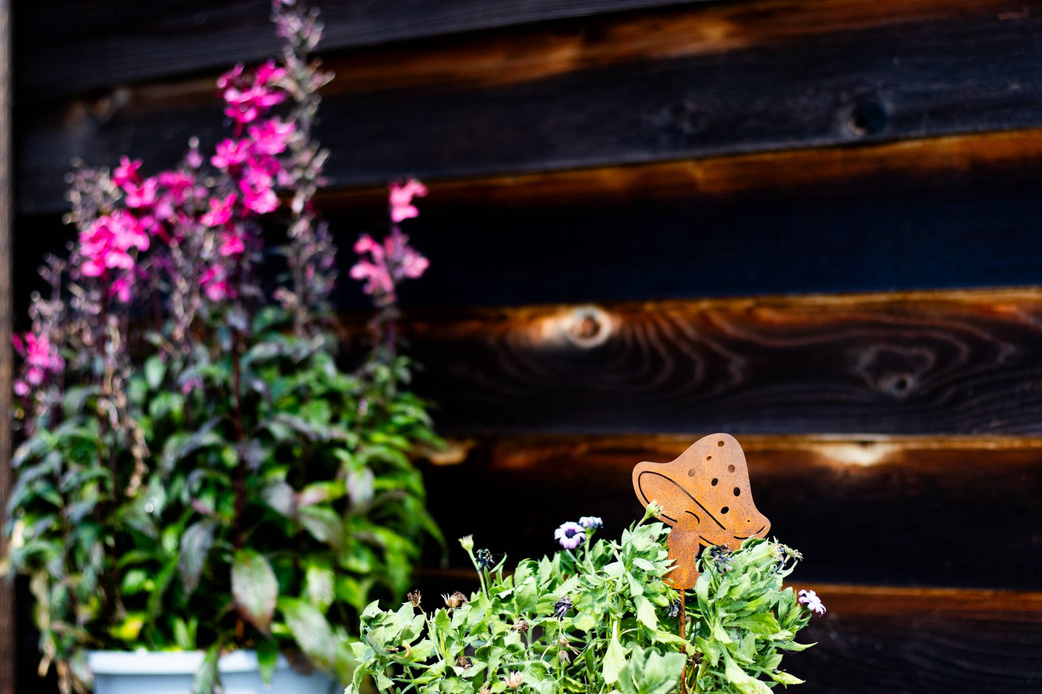 Elegant Garden Design - Vente Piquets de jardin/pelouse - Piques à champignons - Lot de cinq14