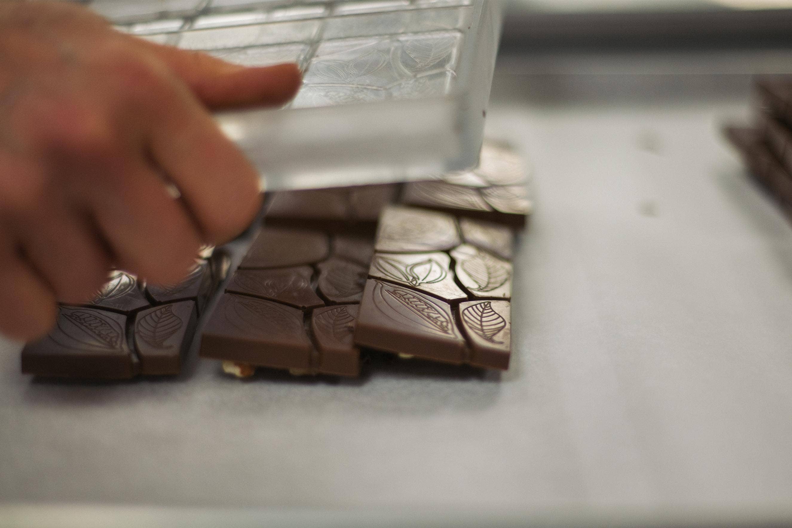 The GOOD Chocolatier - Venta al por mayor Chocolate - CASE Avellana tostada 50%  4