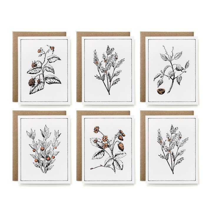 Knapping Press - Wholesale Stationery/Notecard Set - Set of 6 - 100% Recycled Painted Botanicals Card Collection1