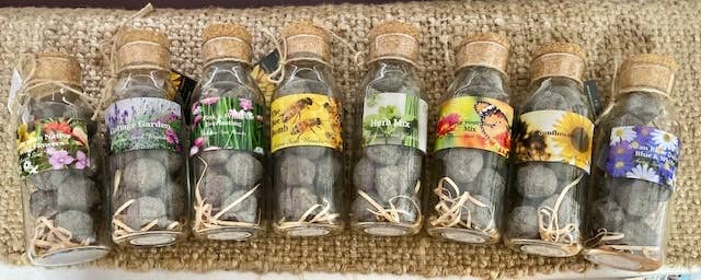 Aussie Seed Bombs - Wholesale Plant seeds - Wholesale Box of 16 x Seed Bomb Jar varieties 500ml