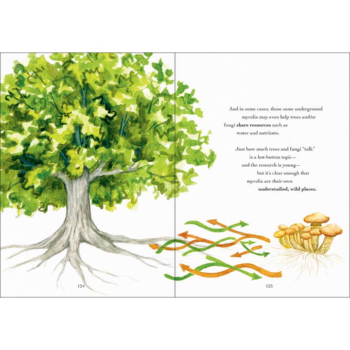 AdventureKEEN - Wholesale Nature & Outdoors - Wonder of Mushrooms5