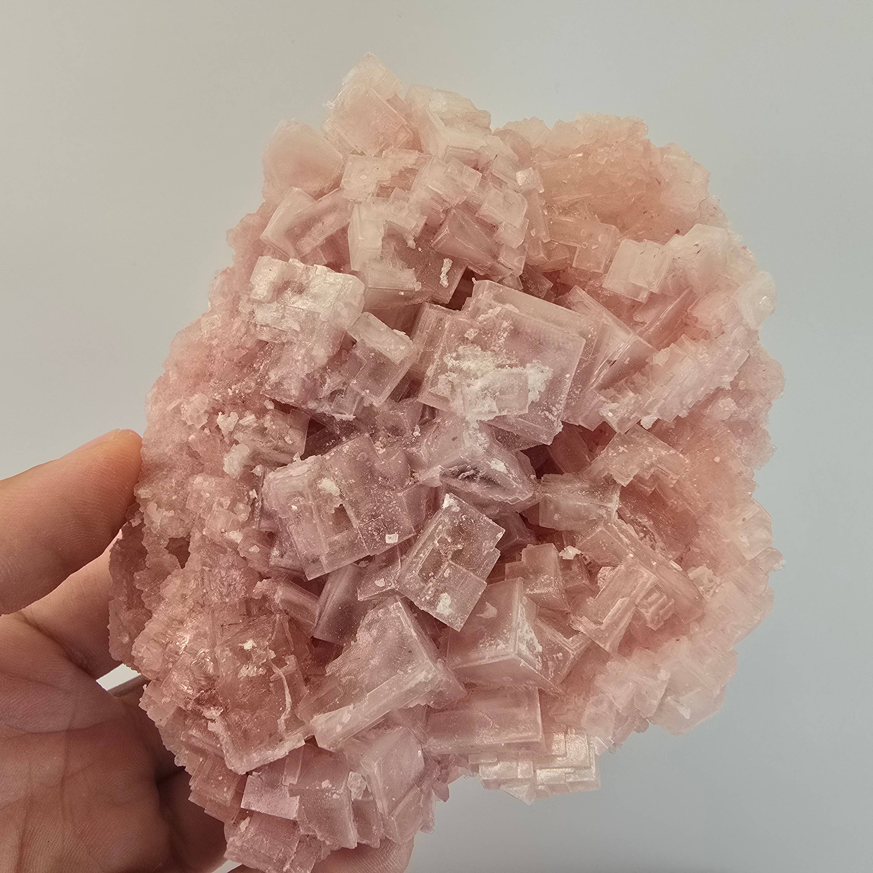 Aquamarine Daydream Wholesale - Wholesale Spiritual Stone/Crystal - 6pc Pink Halite ~ Bulk Mineral Flats ~ Crystal Specimens #56