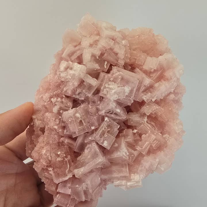 Aquamarine Daydream Wholesale - Wholesale Spiritual Stone/Crystal - 6pc Pink Halite ~ Bulk Mineral Flats ~ Crystal Specimens #56