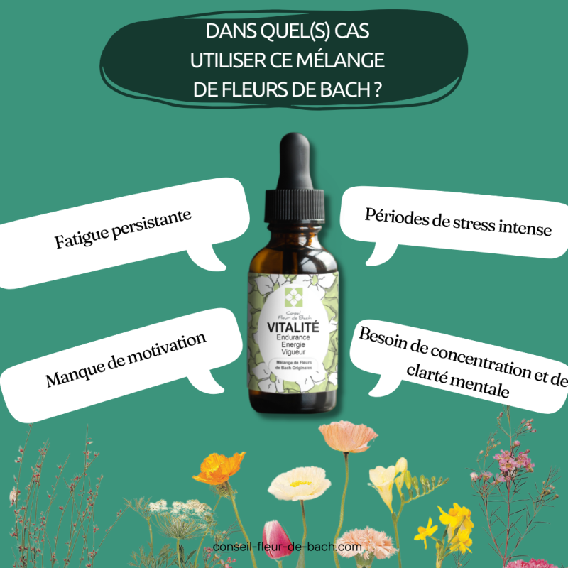 Conseil fleur de Bach - Wholesale Voedingssupplement/vitamine - Bach Bloesems Vitaliteit2
