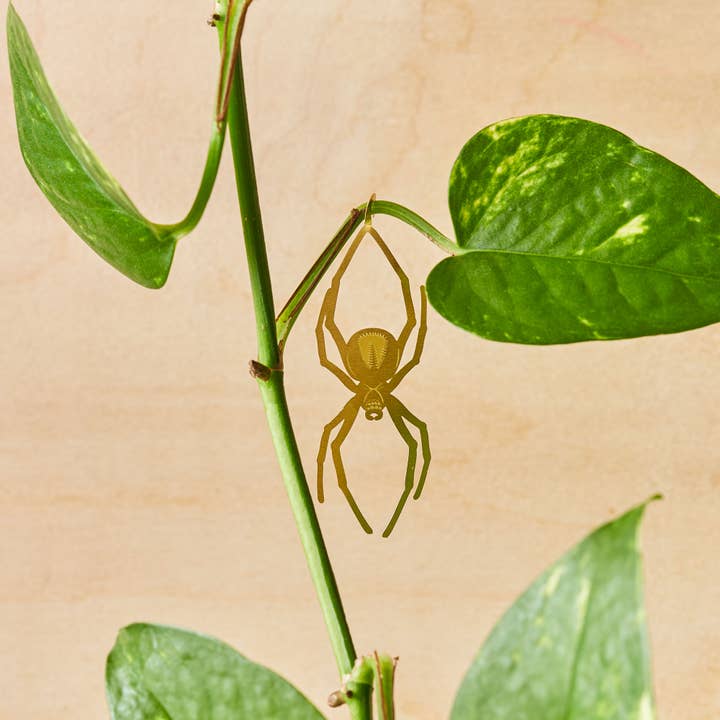 Plant Animal Spider, Spooky Houseplant Charm for wholesale by Another Studio UK