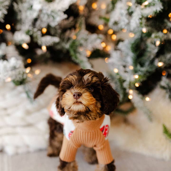 Lunaa – wholesale Tröja - Hund – HOLLY JINGLES | STICKADE KLÄDER