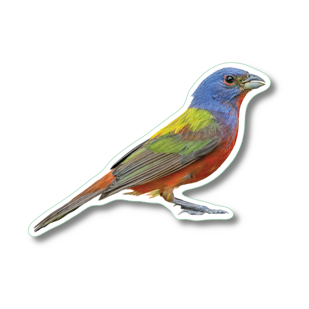 Earth Sky + Water - Wholesale Sticker - Painted Bunting Nature Sticker, 2.5" x 3.5"1